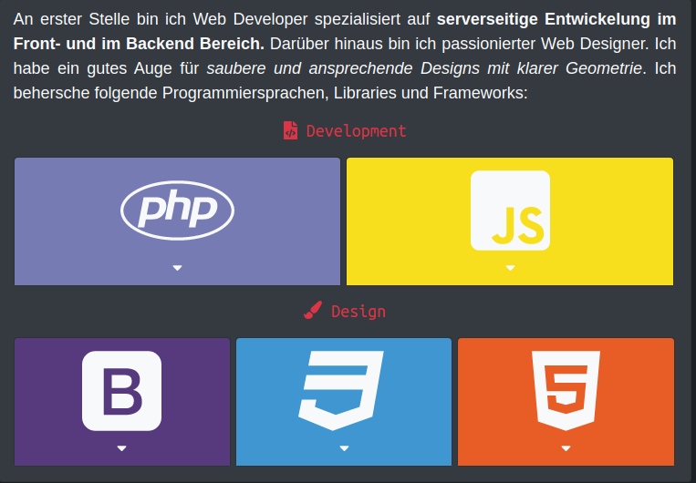 coding skill boxes